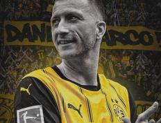 乐鱼体育-罗伊斯战胜对手，哥斯达黎加球员制胜的简单介绍