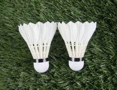 乐鱼app-印尼羽毛球队鏖战法国羽毛球队，谌龙一己之力扛起全队